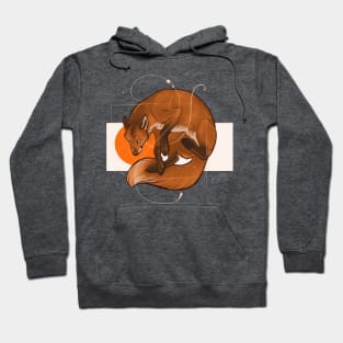 Flight of the fox Hoodie